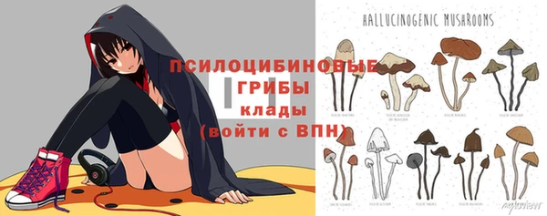 ешки Абаза