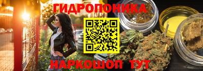 тгк Тара