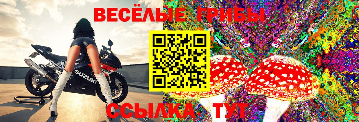 Галлюциногенные грибы мухоморы Южноуральск